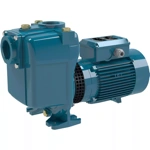 Calpeda Calpeda2493 Surface pump Calpeda B-A 80-170 A/A